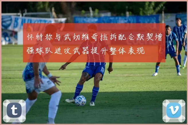 怀特称与武切维奇挡拆配合默契增强球队进攻武器提升整体表现
